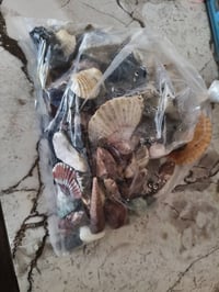 متاح حوض اسماك مع الغراض كامله والاكل ب60 رقمي 07715121475