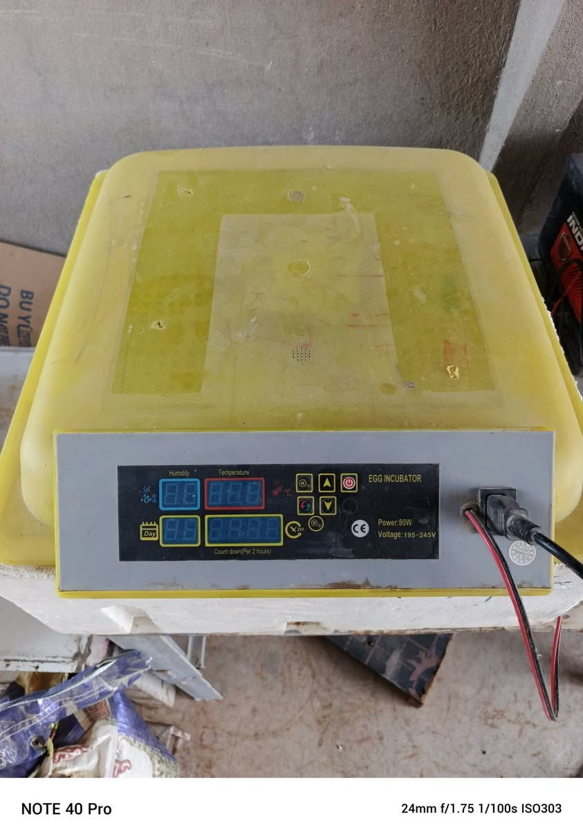 للبيع تخم قنافه مع ميز بلازمه و مقفس 
***********
