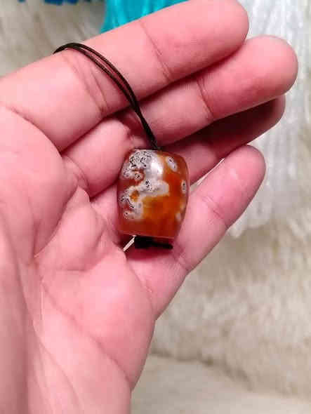 داودي سعر ٥٠مع التوصيل شرط فحص يم المندوب تواصل واتساب ***********
