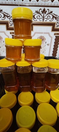 عسل • عسل اصلي • عسل طبيعي • عسل للبيع • عسل مضمون