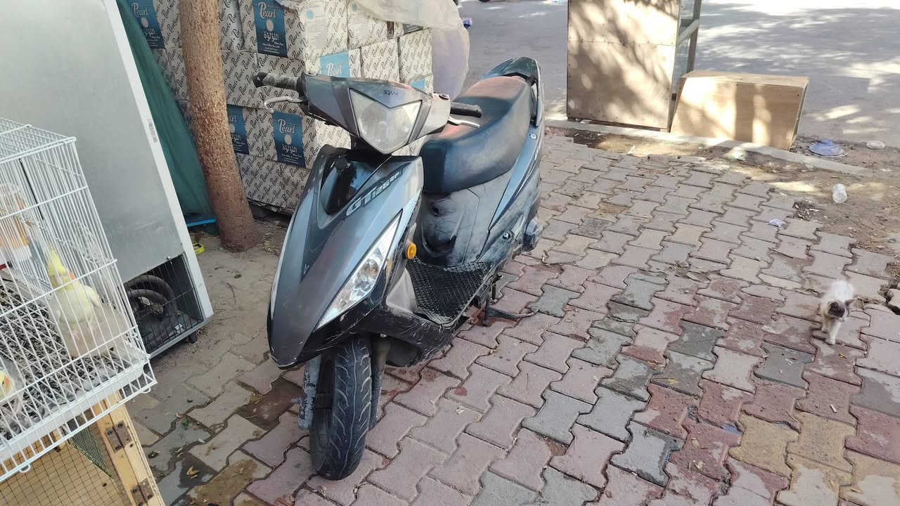 جيتي اسيام للبيع 400
واذا مراوس حسب القناعه بغداد


**إذا كنت صاحب هذا الإعلان وتريد حذفه لأي سبب، رجاءا أرسل رسالة إلى الدعم الفني**