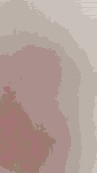 ثعلب كابريتر كفرات ختم واحد رايدهه 500 الف عنواني بغداد الغزاليه
رقمي ***********
