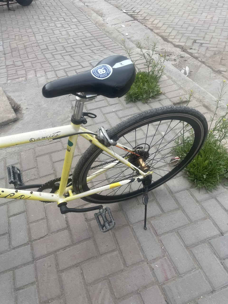 السلام عليكم بايسكل C700 ياباني 

ماركة 

البايك مختم من الطول للطول 

وكل اجزاء الهيكل ختم واحد حتى الكشن 

سيستم شيمانو.. كير بريكات بدالات 

✈️🔻ملاحضه\ البايك وزن ريشه  

الون..  اصفر 

المواصفات.. 

1\ بريك امامي خلفي شغالات 

2\ كيوره البدلات كلها شغاله خلفي 

3/ المكينه 7 سستمهن شيمانو 

4/جوابة جدد وتايرات اصليات 

5\وباقي مواصفاته معروفه 

......

السعر110بيه مجال بسيط 

🔻مكاني بغداد حي الجهاد 

***********
