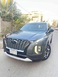 باليسايد • ٢٠٢١ • حادث امريكا امامي