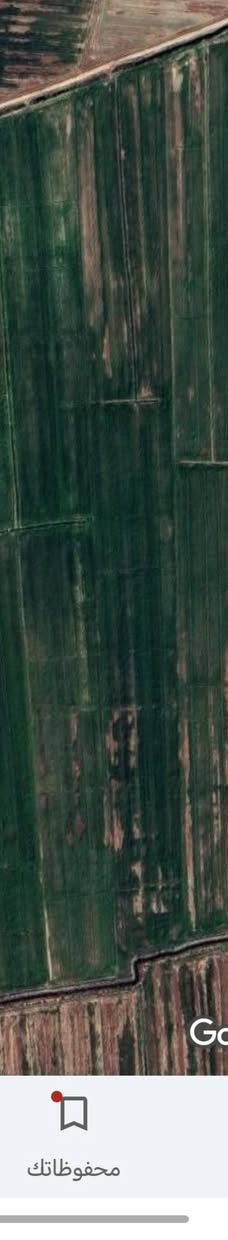 السلا م عليكم ورحمة الله وبركاته
ارض زراعية للبيع ٢١ دونم  كلها صالحة للزراعة معدلة ليزر و مزروعة حنطة حاليا تنباع وي الزرع او بعد الحصاد حسب الرغبة المكان واسط الاحرار للاستفسار الاتصال على الرقم...
***********
***********
