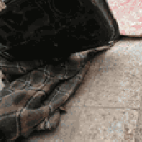 باب شنطة • أصلي • نجف عباسية