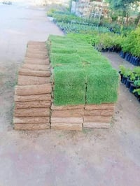 ثيل ديالى الطبيعي اليوم صار متوفر عدنا كل الانواع الخاصة بالثيل منها  ...