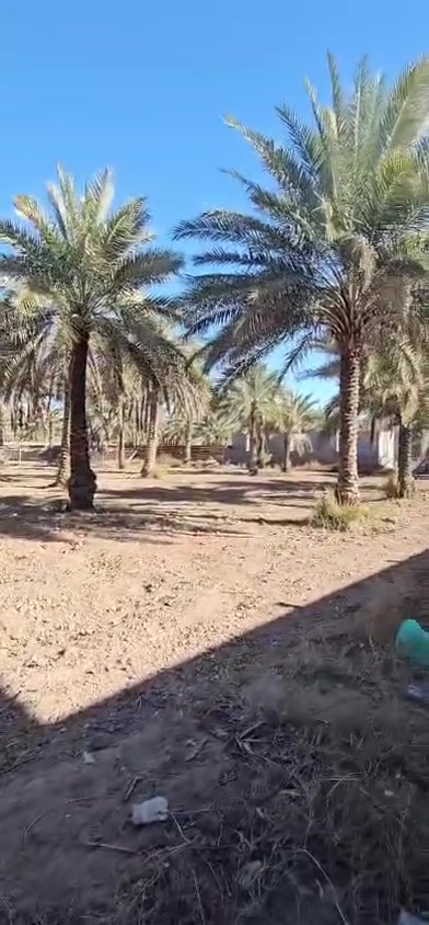 مساحه ١٠٠٠م وجه ٢٤م العنوان الحر الصغير شارع البزل سعره ١٤٠ مع المجال


**إذا كنت صاحب هذا الإعلان وتريد حذفه لأي سبب، رجاءا أرسل رسالة إلى الدعم الفني**