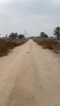 كربلاء • ٢٥م • للبيع