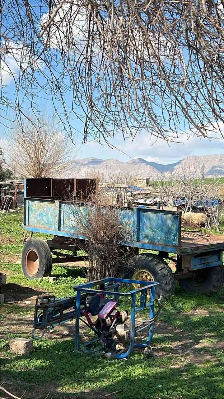 للبيع عربانئ
***********
