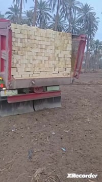 طابوق عادي • العزيزية • درجة اولى