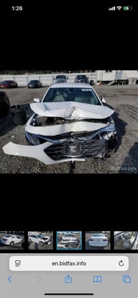 ماليبو • ٢٠٢٢ • الدورة