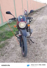 بوكسر جبلي • موديل ٢١ • أوراق