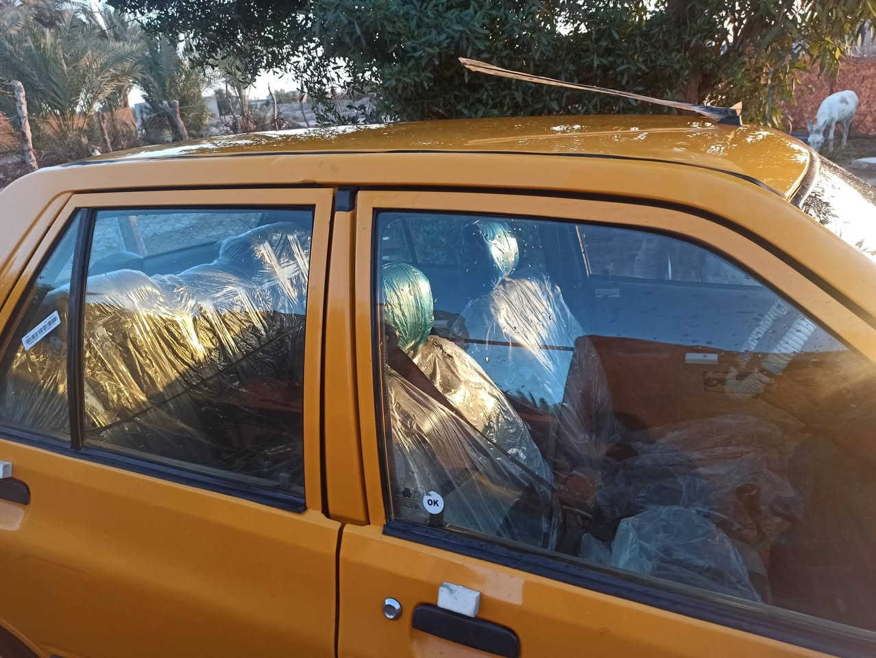 سايبا مديل 19 
السعر 51 بيه مجال بسيط جدا
السياره كفاله كير مكينه خير من الله
سنويه لل2029 بأسمي
غرامات وهيئه مصفره
النظافه فول
للتفاصيل ***********
