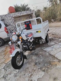 ستوتة • موديل ٢٠٢٤ • أوراق استنساخ