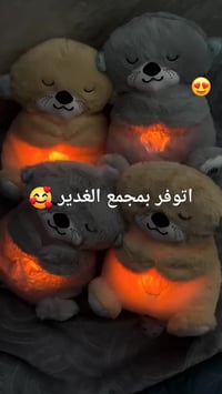 دب يتنفس • دمية ترند • مجمع الغدير