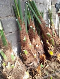 بسم الله الرحمان الرحيم//07840612678)//السلام عليكم يوجد لدينا افضل أن...