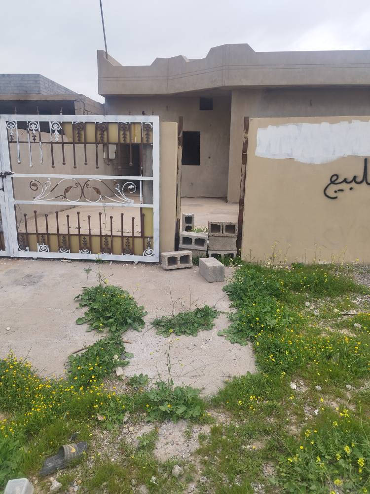 ھیگل  بو رفرشتن۔     ***********۔ کرکوک    شوراو كركوك, العراق
