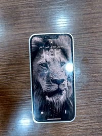 آيفون ١٣ برو ماكس • شحن حيل زين • رمادي التأميم