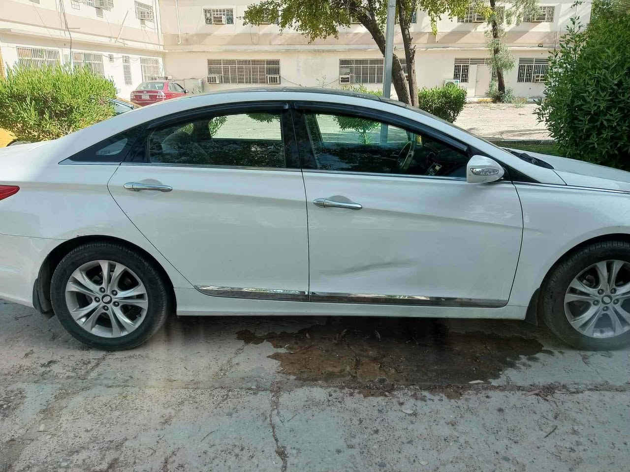 موديل ١١ خليجي.
بدون صبغ، فقط باردات وطخطخات خفيفة جدا ، كير مكينة وضع الشركة.،مكينة ٢٤٠٠.
مواصفات معروفة.مكانها بغداد.
حساسات،كامرة،كشن كهرباء ،مري شفط واشاير، تحكمات، بانوراما، باسمي شخصيا صارلها ٤ سنوات عندي.رقم بغداد.
رايدها ١١٢ وبيها مجال ان شاء الله للشراي..
رجاء فقط اللي يجني يخابر ويدلل.
***********
