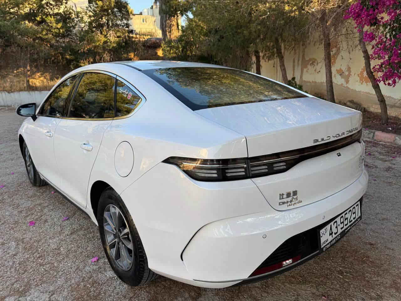 بي واي دي دستروي 2025
 كفاله 7سنوات
 عداد 10 الف من زيرو مالك اول
 تمشي بل فل 1100 بل شحنه 55 كيلو
 فحص كامل
 سعر 14800


**إذا كنت صاحب هذا الإعلان وتريد حذفه لأي سبب، رجاءا أرسل رسالة إلى الدعم الفني**