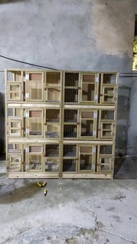 خانات الطيور حسب الطلب 07811303837 خانات ام 3 رتفاع الخانه 50 الواجهة ...