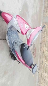 ماكس منغولي • نضيف • رميثة