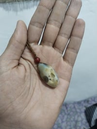 حجر داودي • متاح