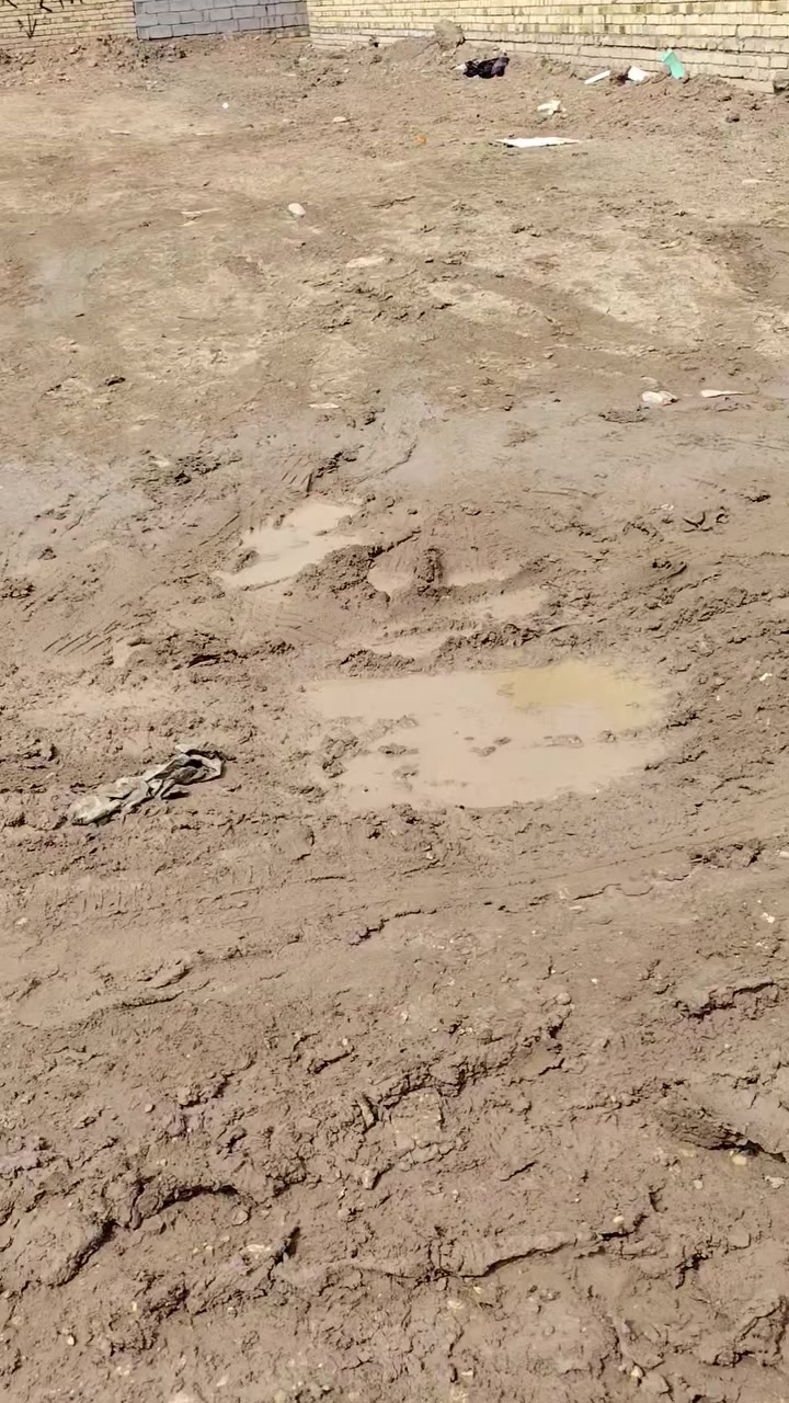 قطعه زراعي للبيع المساحه ٢٠٠ بشارع مجمع الوارث شارع دوايه شطره مقابل المعارض تبعد عن الشارع حوالي ٥٠ متر السعر ٣٥ وبيه مجال ***********
