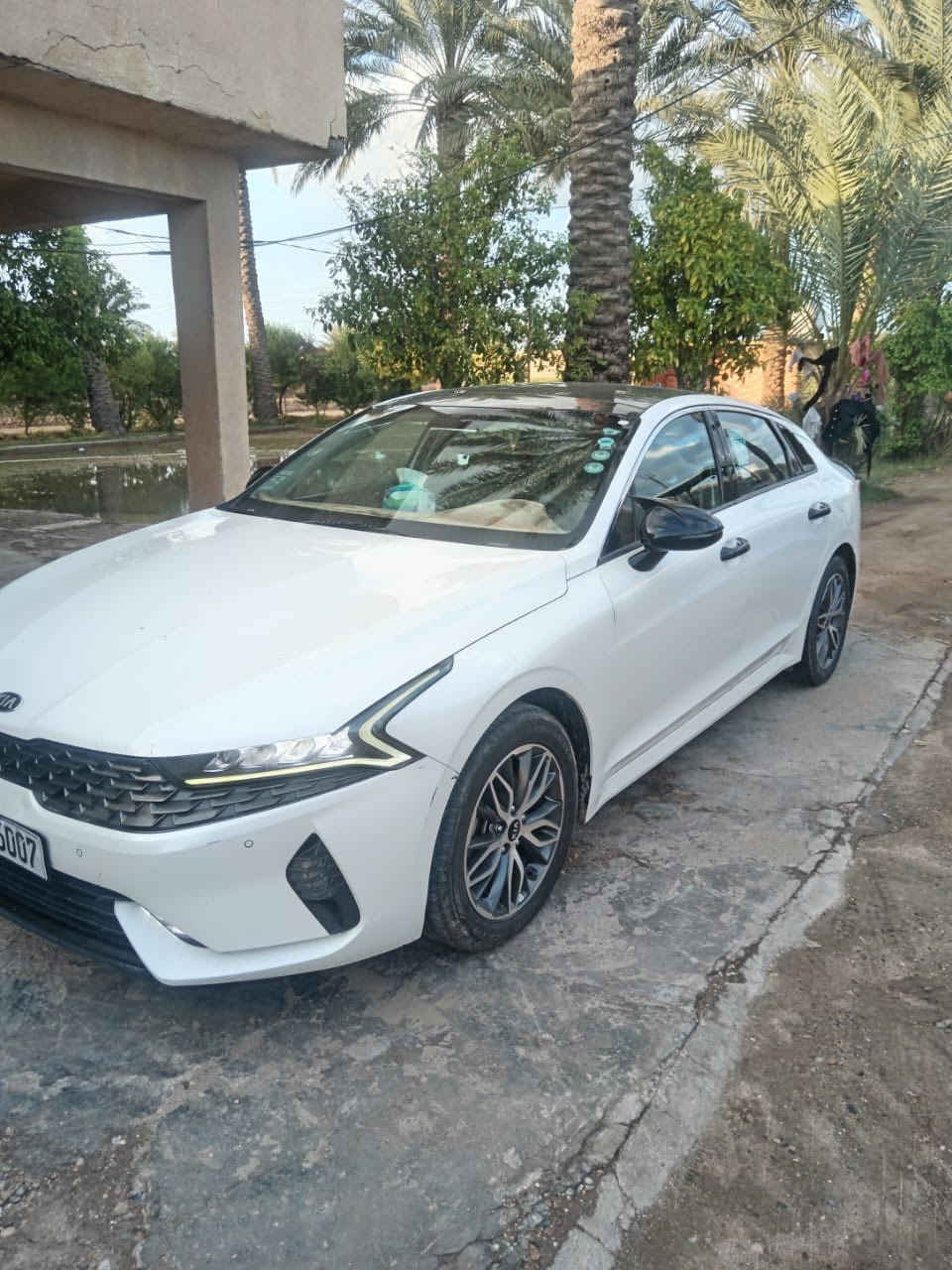 سلام عليكم 

للبيع موديل 21 فول مواصفات محرك 2000 رقم اربيل بأسمي مكاني بغداد ابو غريب السعر 185 السونار بالمنشور الاستفسار الاتصال ع الرقم ***********
