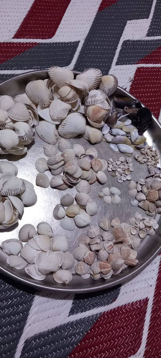 محار يخص الاعمال اليدويه والديكور والريزن يفيد الكلشي المجموعه كلها كبار وصغار بحجامه وشكله ب12الف توصيل3


**إذا كنت صاحب هذا الإعلان وتريد حذفه لأي سبب، رجاءا أرسل رسالة إلى الدعم الفني**