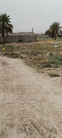 دونمين ونص • زراعي • مجمع بسماية