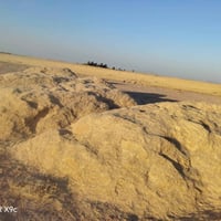 يوجد تبن مجروش وكبس معى توصل وهاذى رقمي 07810052727 بيه واتساب أو تصال