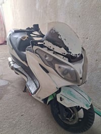 ماجسته • مكفوله • شغاله