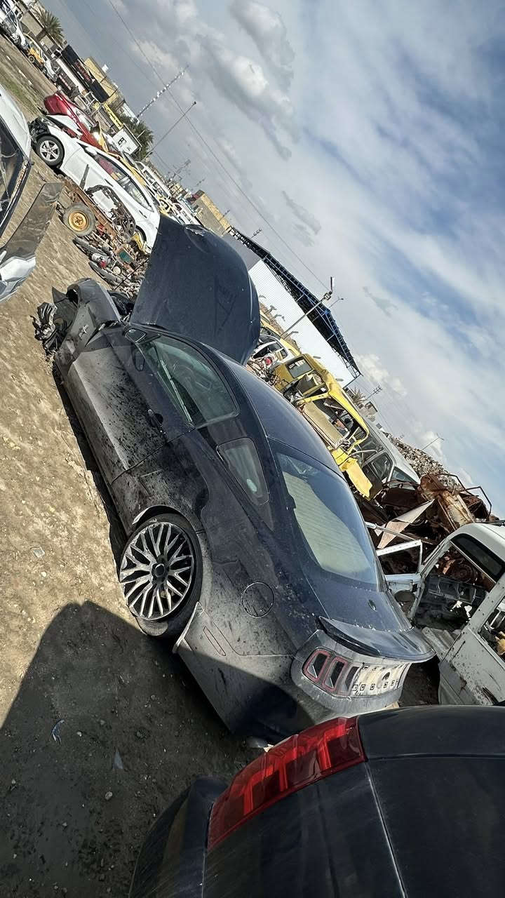 سلام عليكم
موستنك 13 بريميوم ماشيه 90 الف 

سابقا بيهه 3 قطع صبغ ابيع ع حادثها 

رقم بغداد الجديد بأسمي تحويل مباشر 

مكاني نجف ***********

السعر 55 وبيهه مجال
