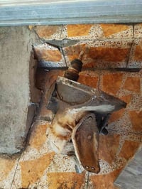 كاديت • تفصيخ • كركوك بنجه علي