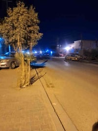 التنومة شارع المشروع • طابو وصرف • 3غرف