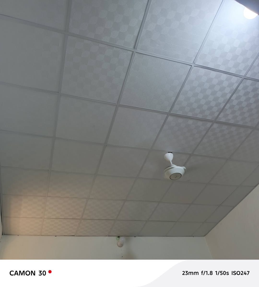 عملنه داخل كربلاء 
بانسب الاسعار 
للاستفسار ***********

