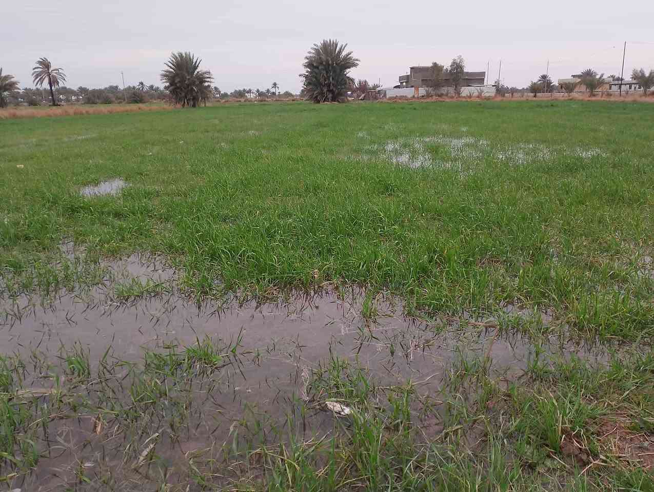 كاع للبيع السعر دونم 125 مليون بيه جميع خدمات سند 25 مكان حله منطقه ابو عرايس


**إذا كنت صاحب هذا الإعلان وتريد حذفه لأي سبب، رجاءا أرسل رسالة إلى الدعم الفني**