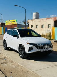 توسان ٢٠٢٤ • كفالة عامة • حادث أمريكي