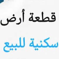 محله ٣٣٨ • ١٣٠م • طابو ملكي