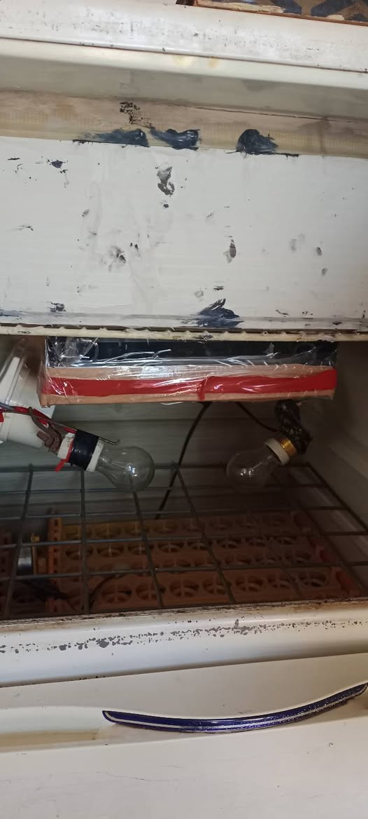 فقاسه افراخ لل بيع جاهزه السعر عل خاص


**إذا كنت صاحب هذا الإعلان وتريد حذفه لأي سبب، رجاءا أرسل رسالة إلى الدعم الفني**