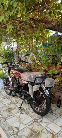سولنك 25 • مراوس • قناعه