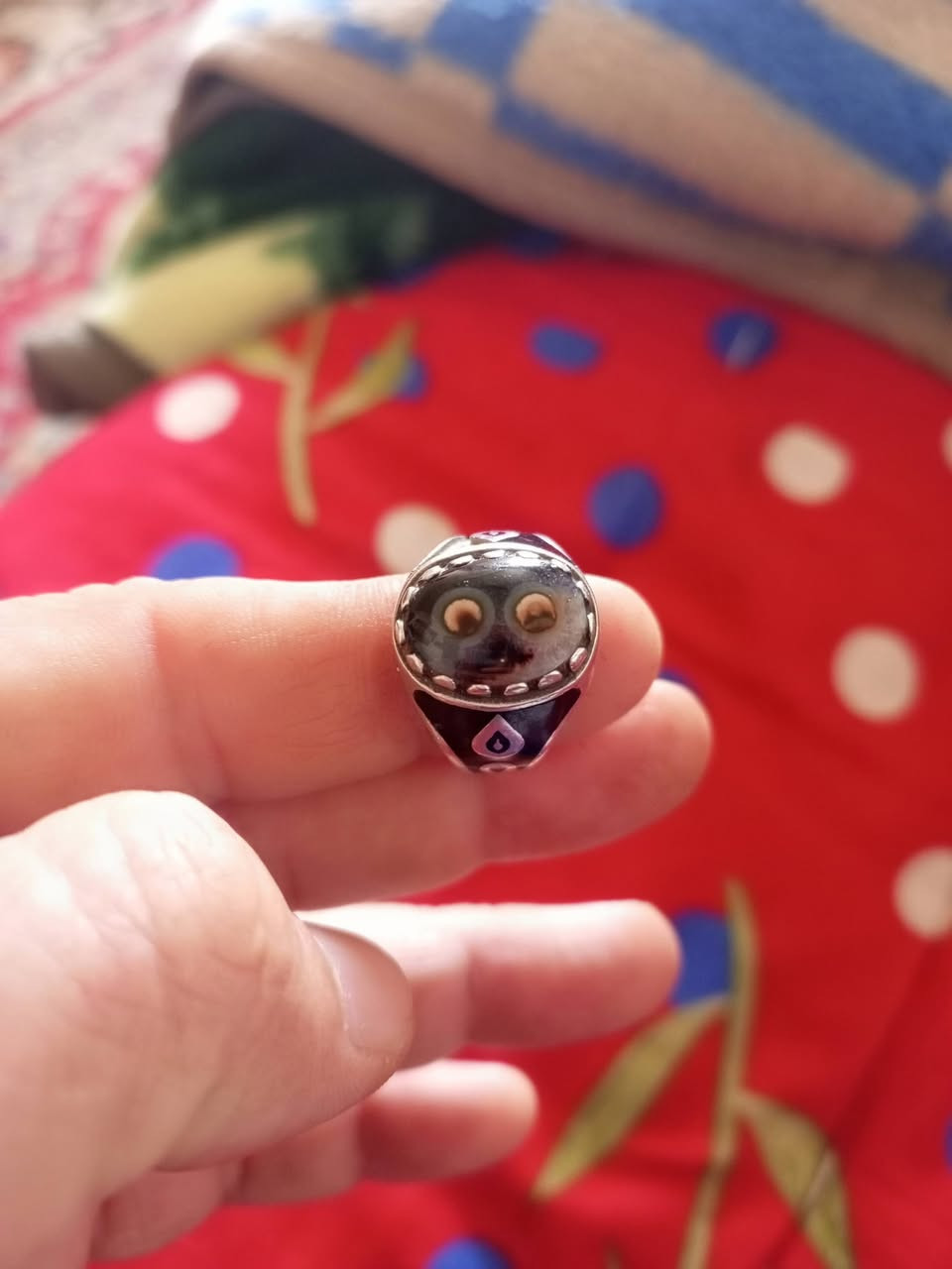 سليماني قديم


**إذا كنت صاحب هذا الإعلان وتريد حذفه لأي سبب، رجاءا أرسل رسالة إلى الدعم الفني**