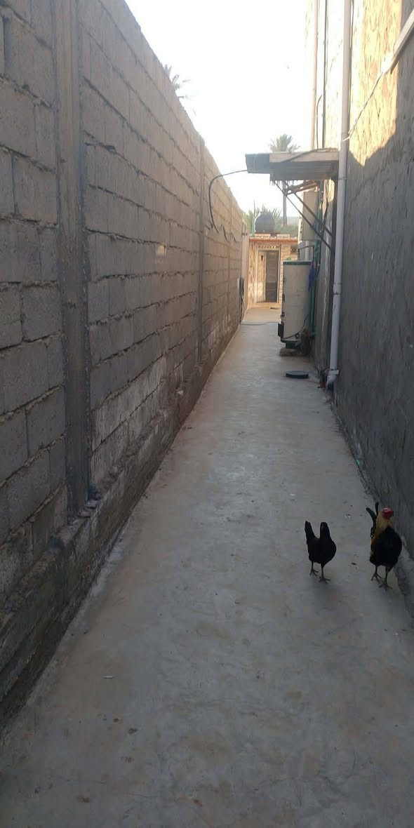 بيت لبيع مساحه 550 لبيع بضهر دكتور ستار لبيع حديث بناء 2024 طابو زراعي سند 25 اقرارر محكمه السعر 170 قابل للتفاوض 5 غرف حمامات عدد 2 قاطين ***********
