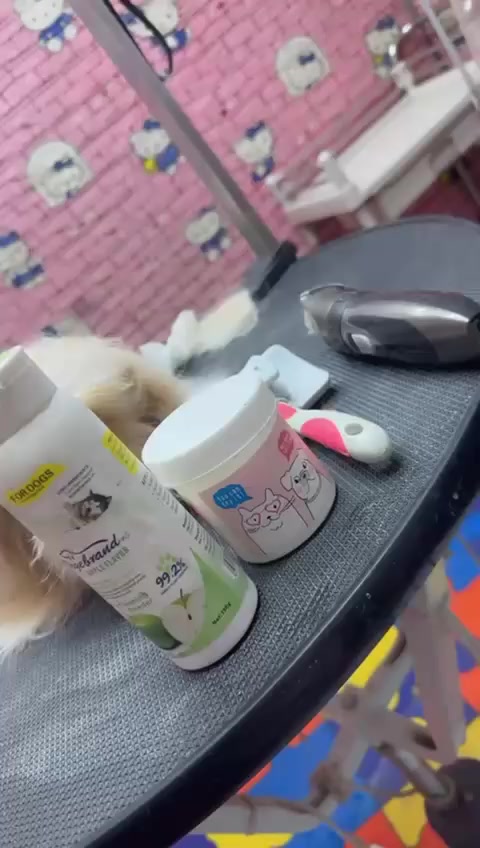 🐾✨ دلل حيوانك الأليف ✨🐾
زبائننا الاعزاء نعلن عن عودة خدمة السبح و الحلاقة للقطط والكلاب داخل العيادة كل يوم جمعة فقط 🐱🐶
😼 سباحة بمنتجات مخصصة وآمنة مع حمام بشامبو خاص وقائي ضد القمل و القراد 
😸 حلاقة احترافية تناسب نوع الفروة حسب الطلب
😽 تنظيف أذن و عين وقص أظافر
احجز موعد الآن و امنح حيوانك الأليف إطلالة نظيفة وصحية😻
📅 المواعيد محدودة – نستلم على الحجز فقط

للاستفسار الاتصال : *********** .. ***********
عنوان : نفق الشرطة / اتجاه العامرية - شارع بسكولاته
🐾 مشتل و عيادة ملك التيرير 🐾
