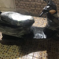 سبيسي • ياباني • كوت فلاحيه