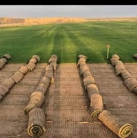 استفسار • خاص
