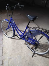 بايسكل بطه • ياباني • جديد