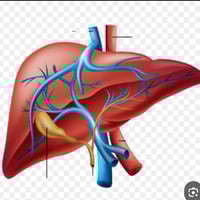 يتخصص الجراحون بالهند بإزالة الأجزاء التالفة للكبد بأحدث التقنيات، مما...